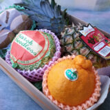 果物詰め合わせセット 手さげボックスfa03 - いづみ屋