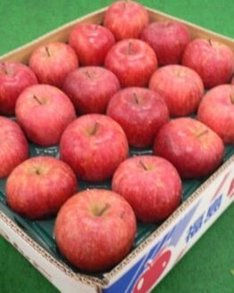 訳あり？ご家庭用？お買得サンふじリンゴ
