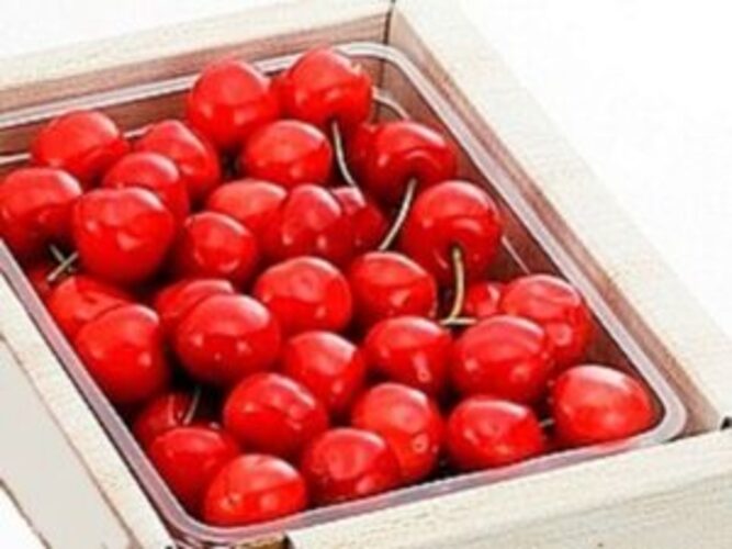cherry-g02 サクランボ 佐藤錦 紅秀峰
