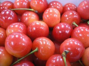 cherry-g04 ご家庭用 訳あり さくらんぼ